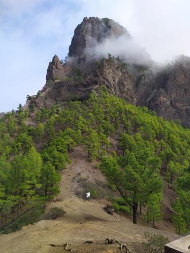 IMG 20191120 120605-307-198