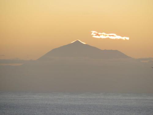 IMG 20191121 093534-121-204