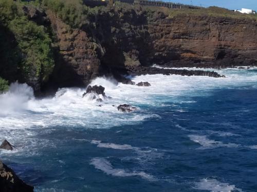 IMG 20191122 115936-364-218