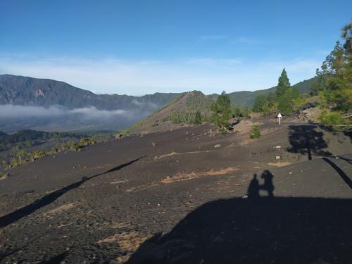 IMG 20191122 165400-371-220