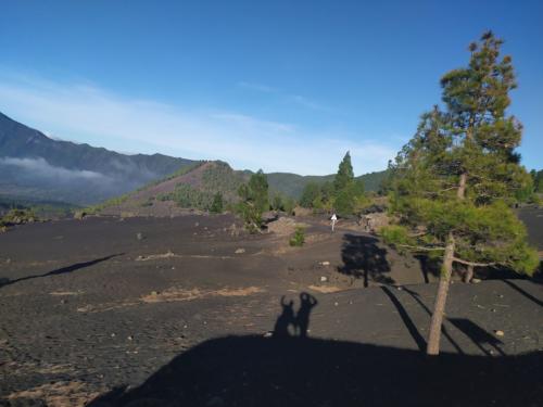 IMG 20191122 165408-372-221