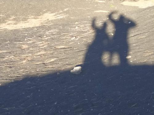 IMG 20191122 165423-373-222