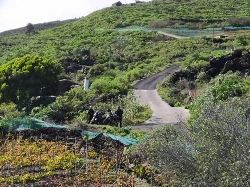 IMG 20191123 113254-385-227