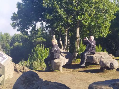 IMG 20191123 150611-395-232