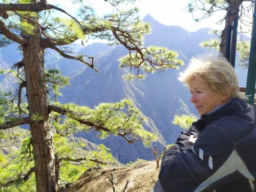 IMG 20191124 113716-410-238