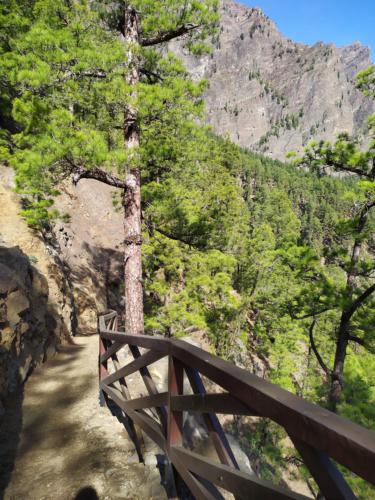 IMG 20191124 114414-413-239