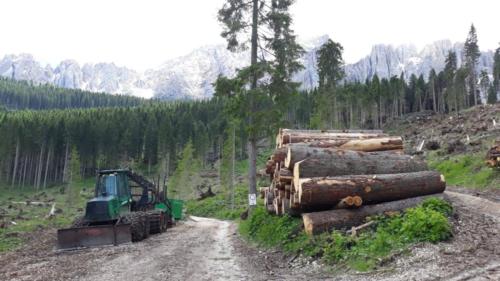 IMG-20190623-WA0001-08