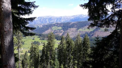 IMG-20190623-WA0002-09