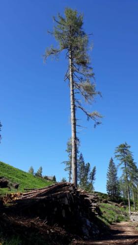 IMG-20190623-WA0003-10