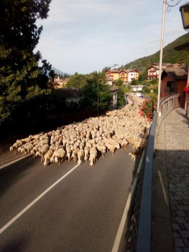 IMG_20190615_074126-27