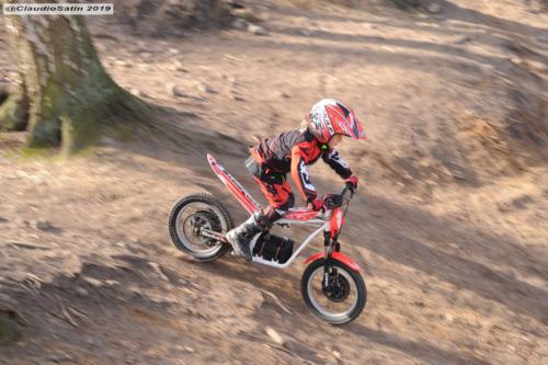 SamstagSteinfeld2019_193-2