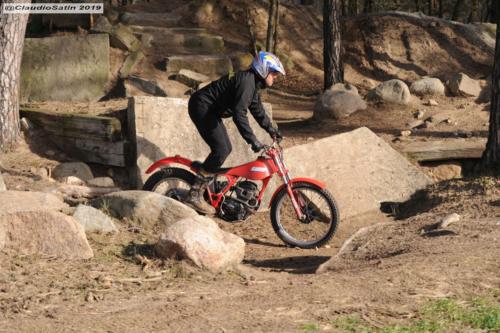 SamstagSteinfeld2019_206-2