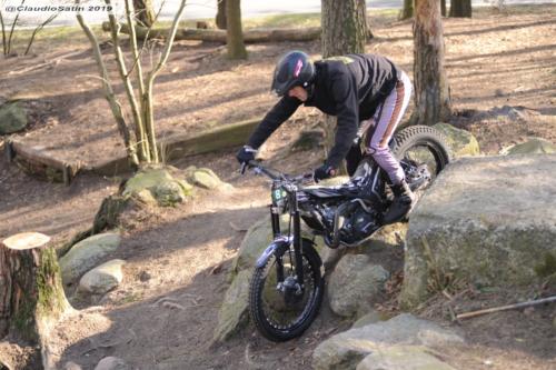 SamstagSteinfeld2019_251-2