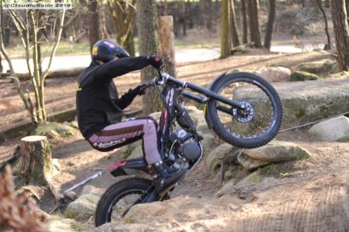 SamstagSteinfeld2019_252-2