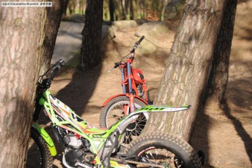 SamstagSteinfeld2019_253-2