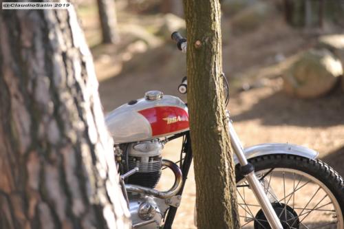 SamstagSteinfeld2019_263-2