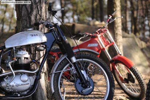 SamstagSteinfeld2019_264-2