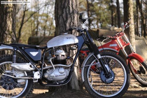 SamstagSteinfeld2019_265-2